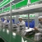 Belt Production Line for Long Workbench